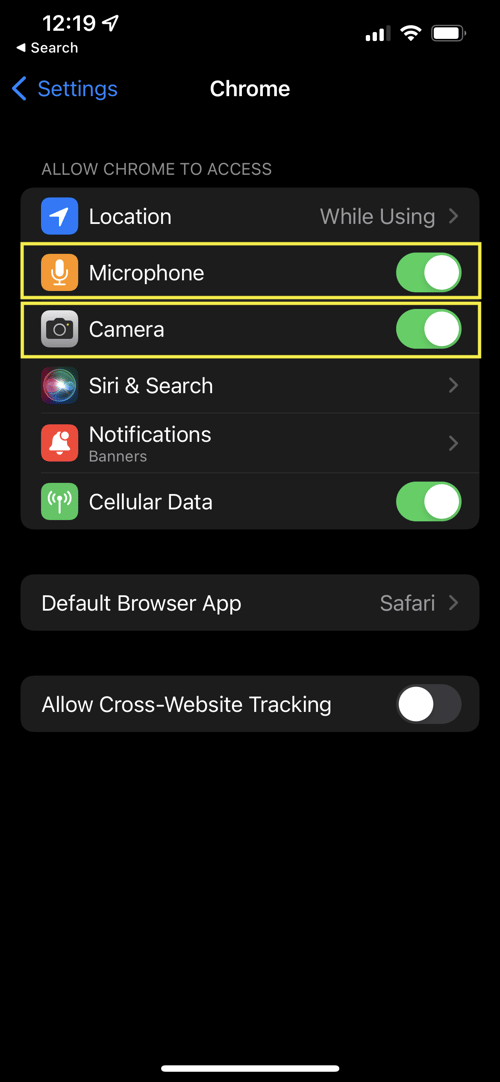 How do I unblock my camera in my browser?